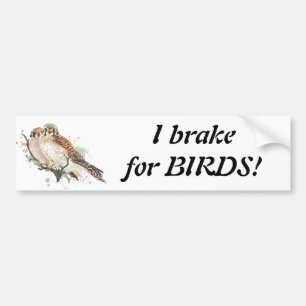 Autocollant De Voiture Frein pour oiseaux Citation Oiseau Kestrel Couple