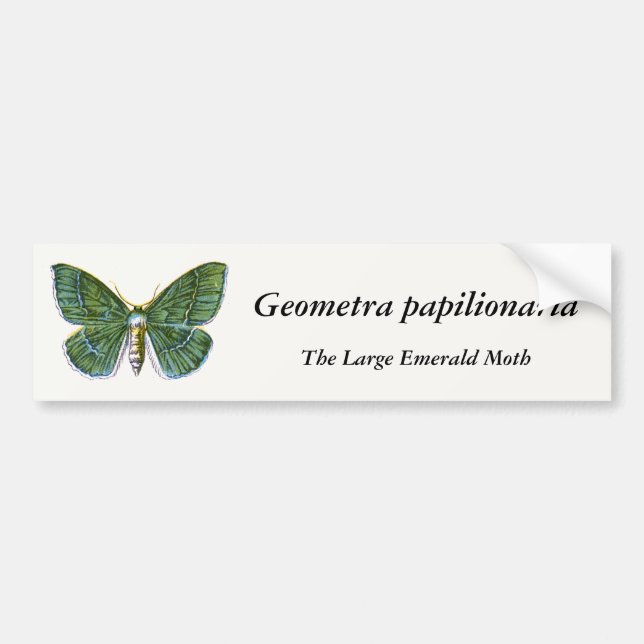 Autocollant De Voiture Geometra papilionaria - La Grande Moth Émeraude (Devant)