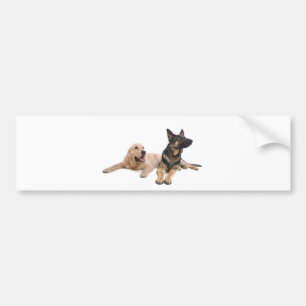 Autocollant De Voiture german shepherd and golden retriever