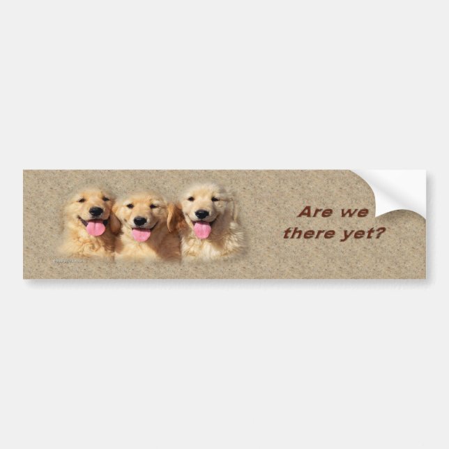 Autocollant De Voiture golden_pups3_bumpersticker (Devant)