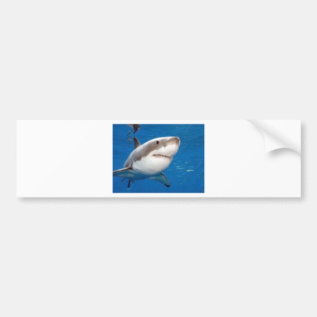 Autocollant De Voiture Grand requin blanc (Devant)