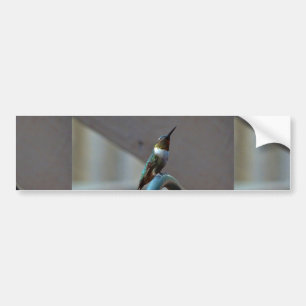 Autocollant De Voiture Green ruby little hummingbird