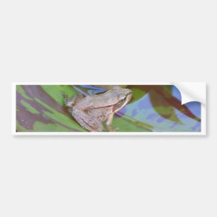 Autocollant De Voiture Grenouille