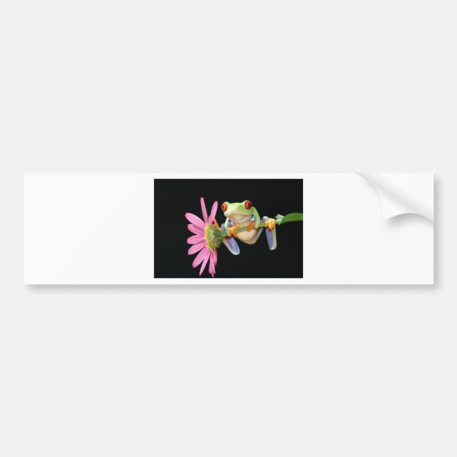 Autocollant De Voiture grenouille d'arbre observée par rouge (Devant)