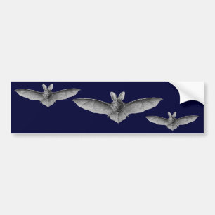 Autocollant De Voiture Haeckel Bats