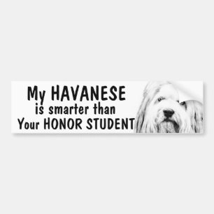 Autocollant De Voiture Havanese - plus futé que l'étudiant d'honneur -
