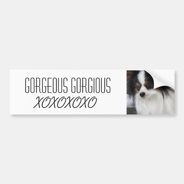 Autocollant De Voiture Héros Merch de baiser de Hershey (Devant)