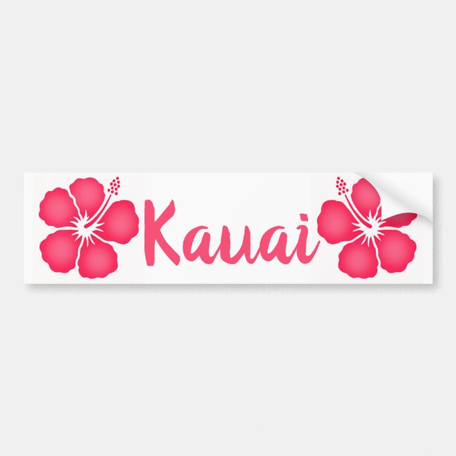 Autocollant De Voiture Hibiscus rose de Kauai (Devant)