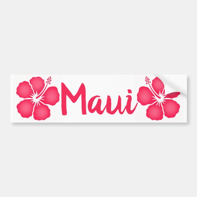 Autocollant De Voiture Hibiscus rose de Maui (Devant)