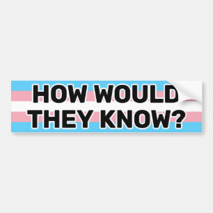 Autocollant De Voiture How Would They Know Black Trans Pride Flag Funny
