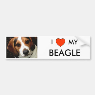Autocollant De Voiture I coeur MON BEAGLE