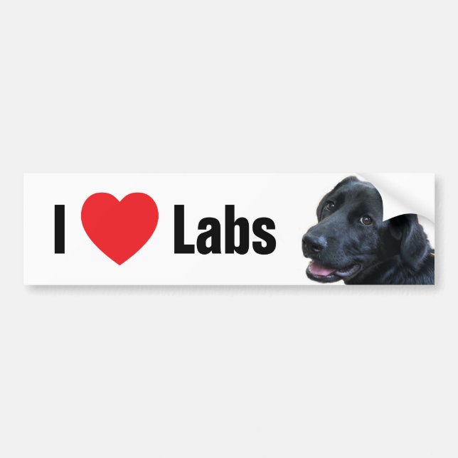 Autocollant De Voiture I Heart Labs (Devant)