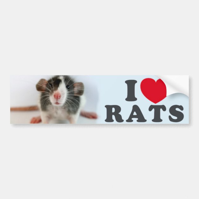 Autocollant De Voiture I love (blazed) Rats (Devant)