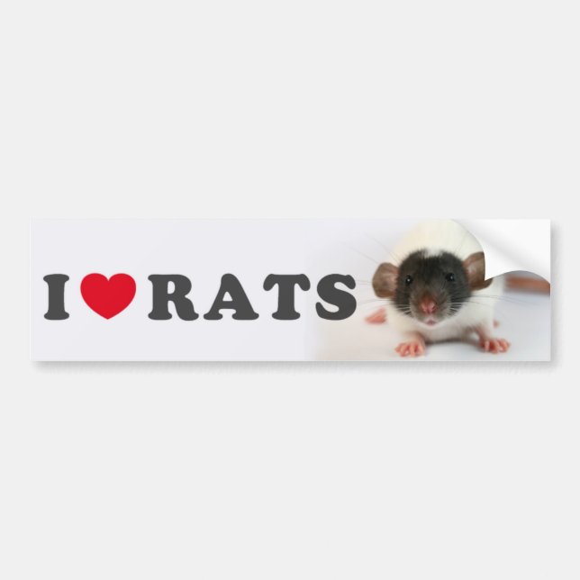 Autocollant De Voiture I love (cute) Rats (Devant)