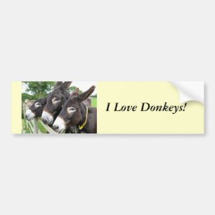 Autocollant De Voiture I Love Donkeys!