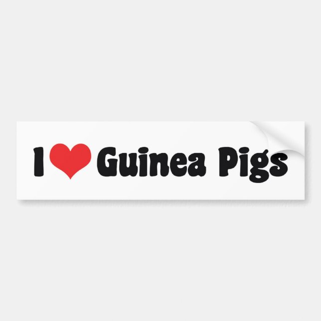 Autocollant De Voiture I Love Heart Guinée Pigs (Devant)