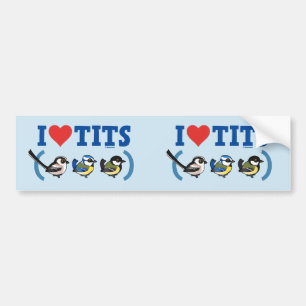 Autocollant De Voiture I Love Paridae EU