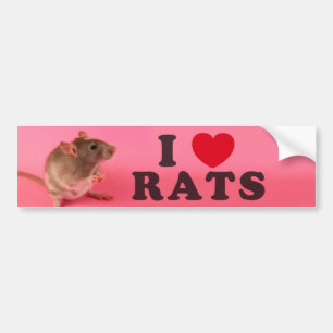 Autocollant De Voiture I love Rats (in pink)