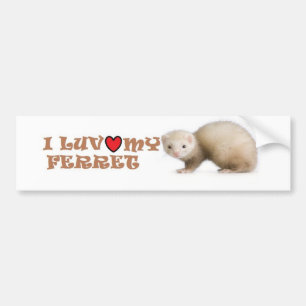 Autocollant De Voiture I Luv mon furet