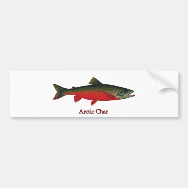 Autocollant De Voiture Illustration de char arctique (Devant)