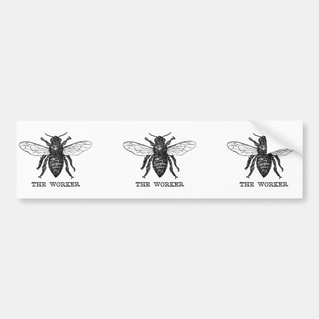 Autocollant De Voiture Illustration de l'abeille du travailleur vintage (Devant)
