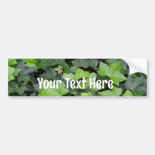 Autocollant De Voiture Impression botanique verte Ivy