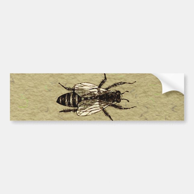 Autocollant De Voiture Insecte de la faune de l'abeille Queen (Devant)