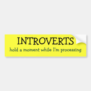 Autocollant De Voiture INTROVERTS, tiennent un moment tandis que je