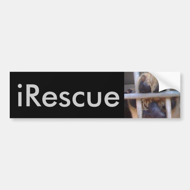 Autocollant De Voiture iRescue (Devant)