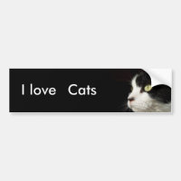 J'aime, adhésif pour pare-chocs de chats