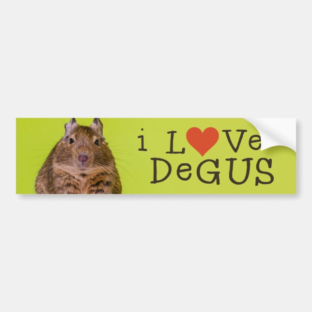 Autocollant De Voiture J'aime Degus (Devant)