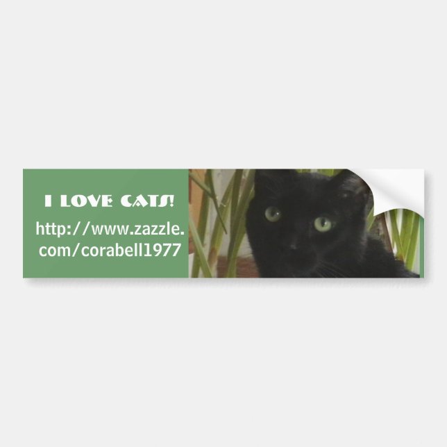 Autocollant De Voiture J'aime des chats ! (Devant)