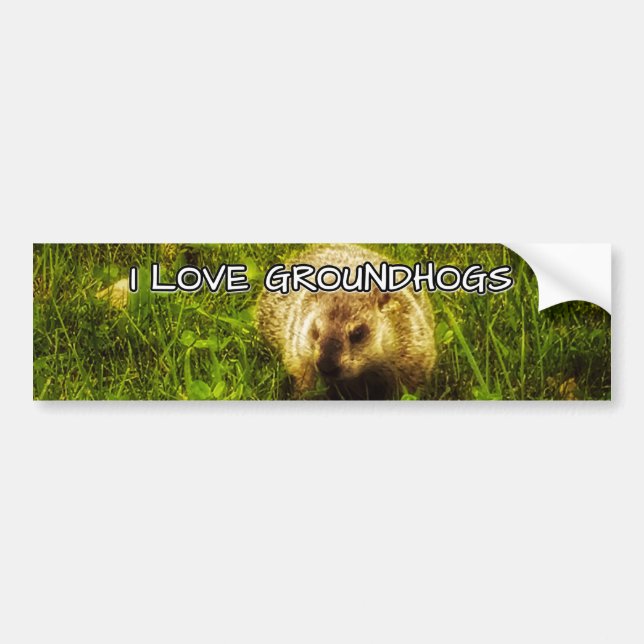 Autocollant De Voiture J'aime l'adhésif pour pare-chocs de groundhogs (Devant)