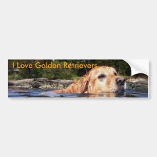 Autocollant De Voiture J'aime les chiens d'arrêt d'or - adhésif pour