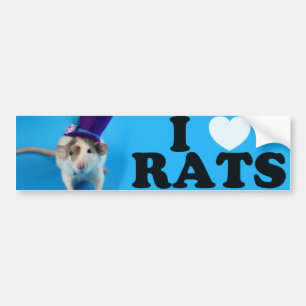 Autocollant De Voiture J'aime les rats (en casquette)
