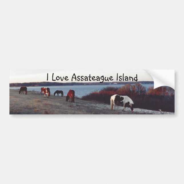 Autocollant De Voiture J'aime l'île d'Assateague - adhésif pour (Devant)