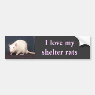 Autocollant De Voiture J'aime mes rats d'abri