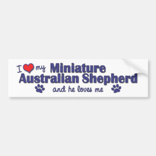 Autocollant De Voiture J'aime mon berger australien miniature (le chien