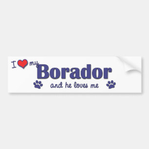 Autocollant De Voiture J'aime mon Borador (le chien masculin)