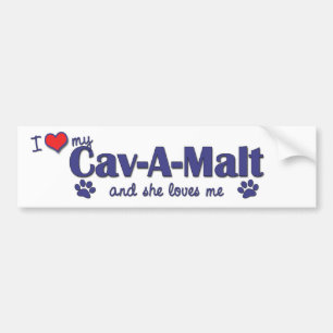Autocollant De Voiture J'aime mon Cav-UN-Malt (le chien femelle)