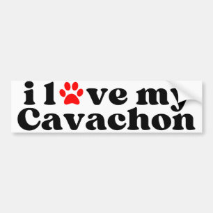 Autocollant De Voiture j'aime mon Cavachon