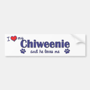 Autocollant De Voiture J'aime mon Chiweenie (le chien masculin)