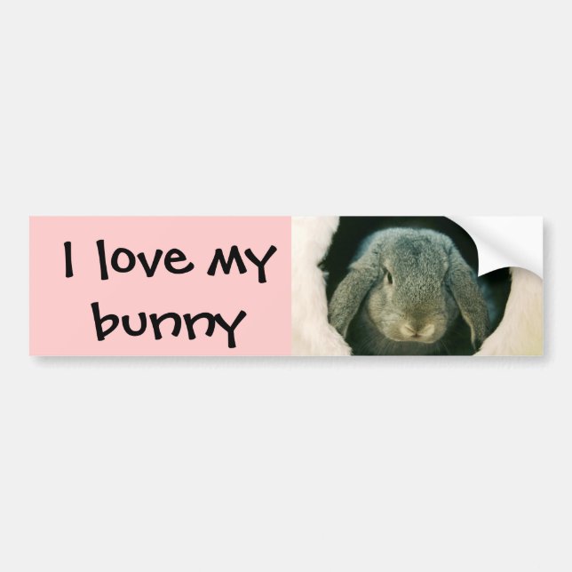 Autocollant De Voiture J'aime mon lapin (Devant)