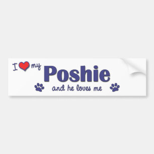 Autocollant De Voiture J'aime mon Poshie (le chien masculin)