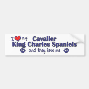 Autocollant De Voiture J'aime mon Roi cavalier Charles (les chiens