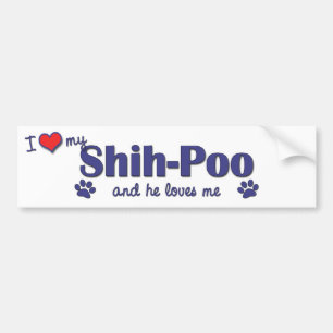 Autocollant De Voiture J'aime mon Shih-Poo (le chien masculin)