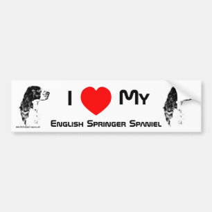 Autocollant De Voiture J'Aime Mon Sticker Spaniel Springer Anglais