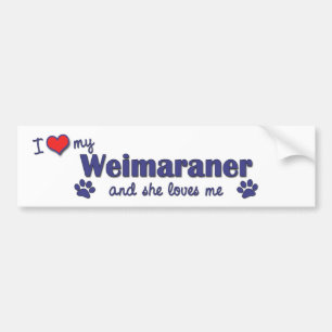 Autocollant De Voiture J'aime mon Weimaraner (le chien femelle)