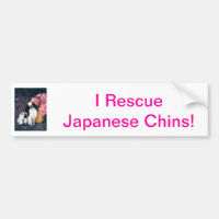 Japonais Chin