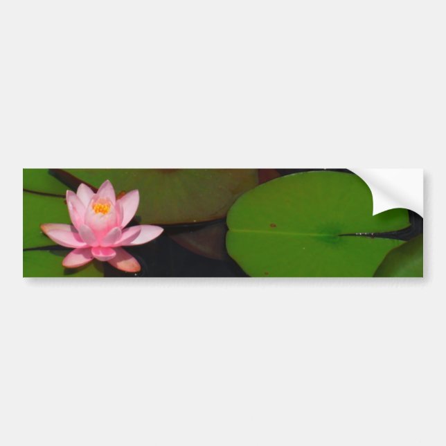 Autocollant De Voiture Jardin de fleurs de laine d'eau de lotus rose, (Devant)